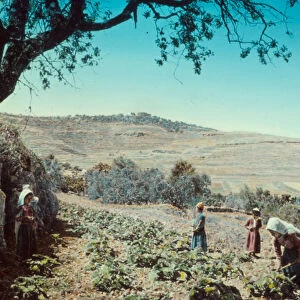 Area Jerusalem Mizpah Gibeon 1946 Israel Nebi Samwil