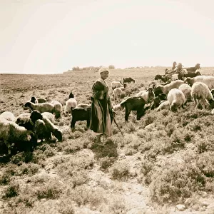 Bedouin shepherd 1898 Bedouin nomadic Arab peoples