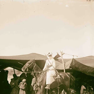 Bedouin wedding Bedouin youth mounted 1900 grouping