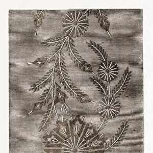 Border of Smoking-Cap, Needlework, 19th Century Embroidery