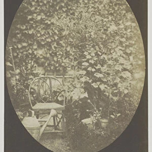 Chair watering garden Hippolyte Bayard French