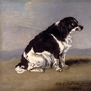 The Duchess of Yorks Spaniel Signed and dated, lower right: H