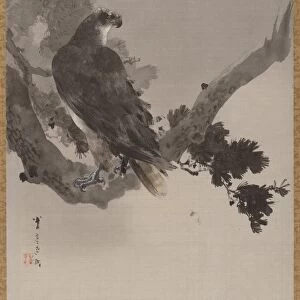 Eagle Tree Meiji period 1868-1912 ca 1887 Japan