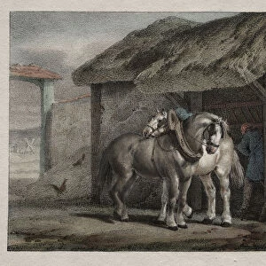 Farm Horse Horace Vernet French 1789-1863 Lithograph