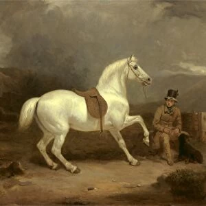 Grey Shooting Pony, Probably the Property of Johnston King, with a Groom ? Mr
