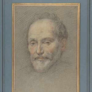Head Bearded Man 1588 / 89-1623 Black chalk red