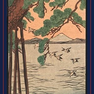 Kisibe no matsu, Pine tree on the shore. Utagawa, Kuniyoshi, 1798-1861, artist