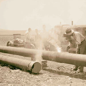 Laying Iraq Petroleum Company pipe line across