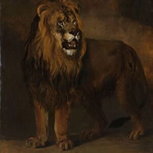 A Lion Menagerie King Louis Napoleon 1808 lion