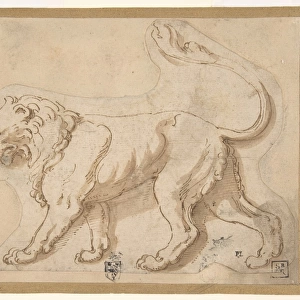 Lion Profile Facing Left Leo n. d Pen brown ink