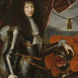 Nicolas Mignard King Louis XIV Louis XIV 1638-1715