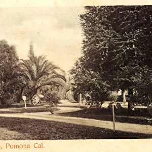 Parks California Pomona 1904 Park Scene Pomona