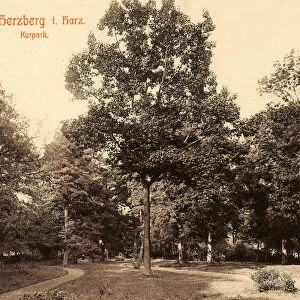 Parks Lower Saxony 1907 Bad Herzberg Kurpark
