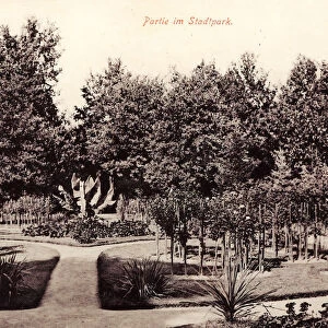 Parks Saxony GroBenhain 1906 Landkreis MeiBen