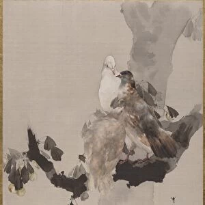 Pigeons Tree Meiji period 1868-1912 ca 1887