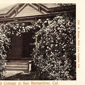 Rose gardens United States San Bernardino California