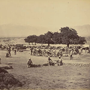 Soldiers battlefield John Burke British active 1860s