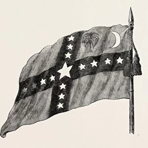 The South Carolina Flag, United States of America, American History, Us, Usa, 1870S
