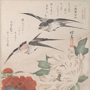 Spring Rain Collection Harusame sh┼½ vol. 3 Swallows