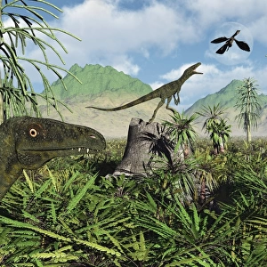 Carnivorous Juravenators hunting during the Jurassic Period of time