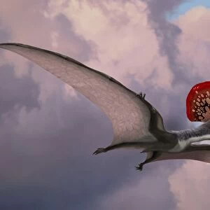 Caupedactylus ybaka, an extinct pterosaur from the Cretaceous Period