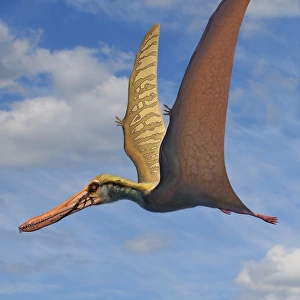 Cearadactylus atrox, a large pterosaur from the Cretaceous Period