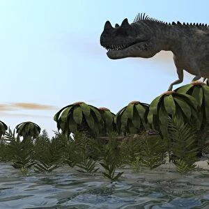 Ceratosaurus hunting in prehistoric wetlands
