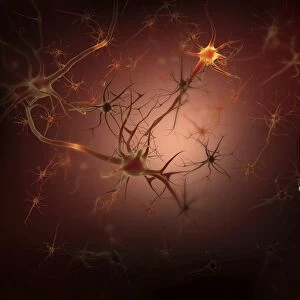 Conceptual image of human brain with neurons