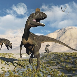 Cryolophosaurus dinosaurs roaming during the Jurassic period