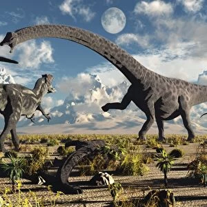 A deadly confrontation between a Diplodocus and a pair of Allosaurus