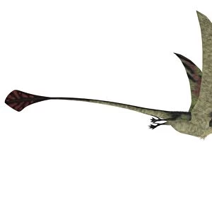 Eudimorphodon is a flying reptile that lived during the Triassic period