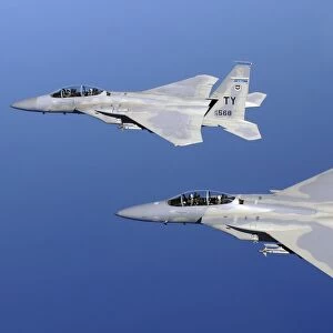 Two F-15 Eagles fly in formation