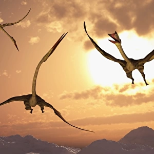 A flock of giant Quetzalcoatlus during the Cretaceous Period