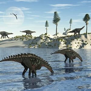 A herd of stegosaurid Miragaia dinosaurs grazing in a lake