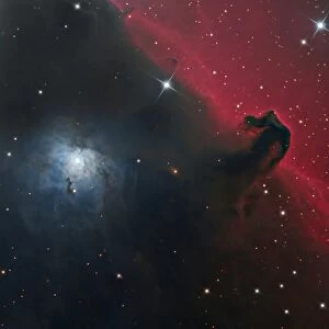 The Horsehead Nebula in the constellation Orion