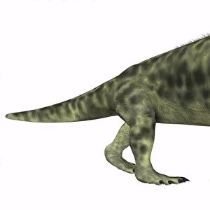 Inostrancevia is a carnivorous reptile that lived during the Permian age