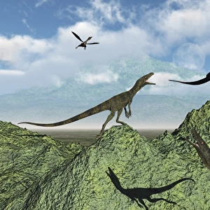 Juravenators chasing Archaeopteryx