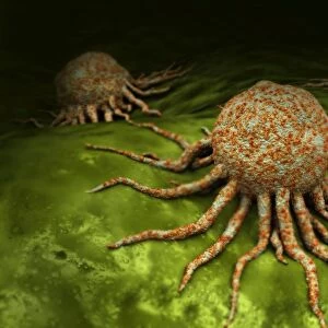Microscopic view of cancer virus