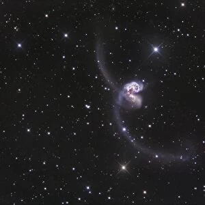 NGC 4038-4039, Interacting Galaxies in Corvus