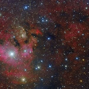NGC 7822 starforming compex in Cepheus