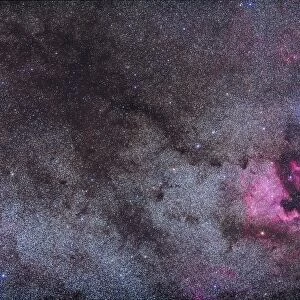 The North America Nebula and dark nebulae in Cygnus