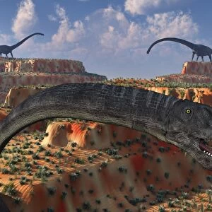 Omeisaurus sauropod dinosaurs from the Jurassic Era