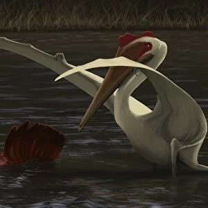 Quetzalcoatlus hunting for food in a prehistoric lake