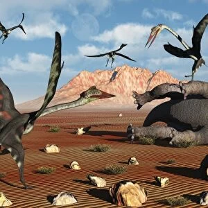 Quetzalcoatlus scavage at the remains of a dead ceratopsian dinosaur