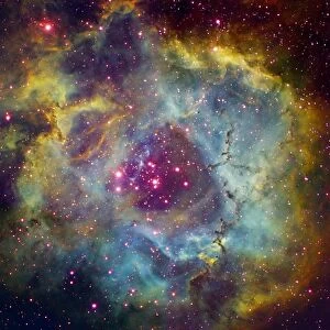 Rosette nebula (NGC 2244) in Monoceros