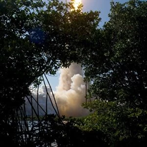 Space Shuttle Discovery lifts off, framed by Florida foliage