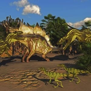 A Stegosaurus tries to defend itself from two Torvosaurus dinosaurs