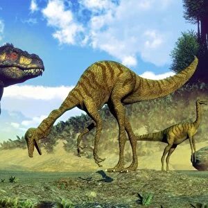 Tyrannosaurus rex surprising a herd of Gallimimus dinosaurs