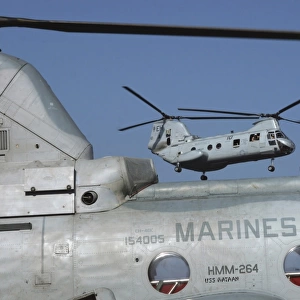 U. S. Marine Corps CH-46 Sea Knight helicopters
