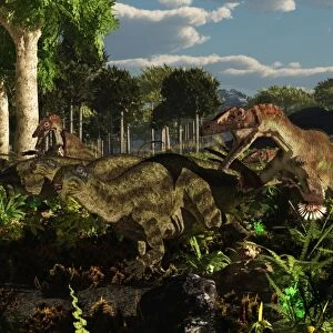 Utahraptors hunting the early iguanodonts, Tenontosaurus